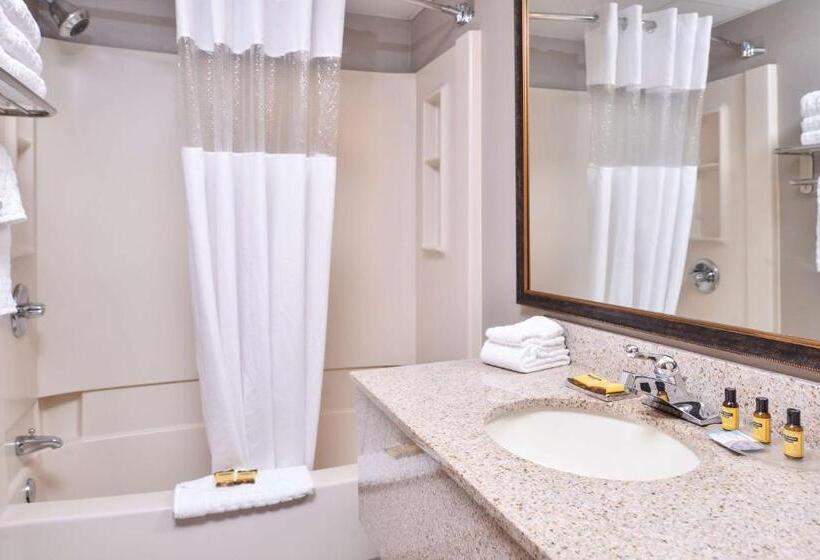 Студия Deluxe, Best Western Plus Kelly Inn