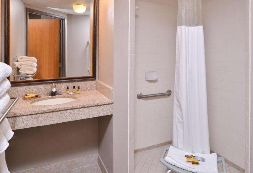 Номер Стандарт Адаптированный для Инвалидов, Best Western Plus Kelly Inn