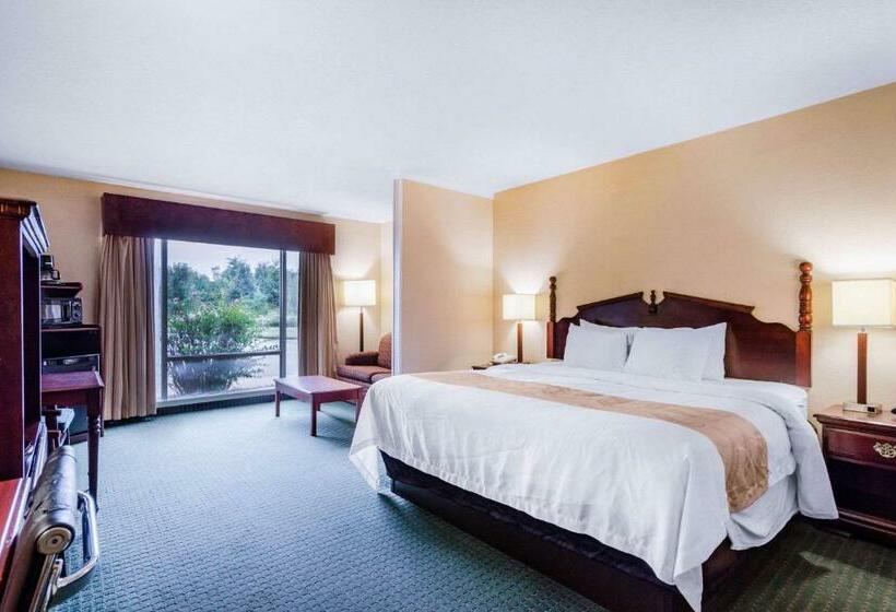 Quarto Superior Cama King, Quality Inn & Suites