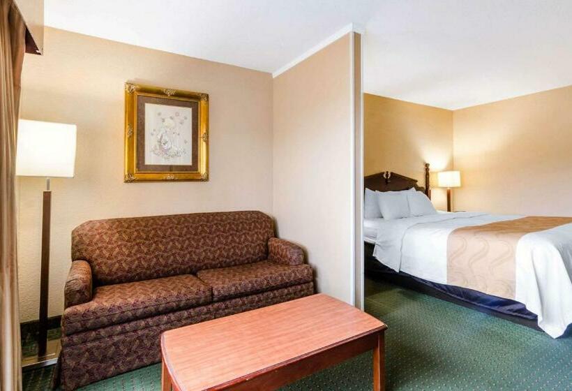 Номер Superior Кровать Кинг, Quality Inn & Suites
