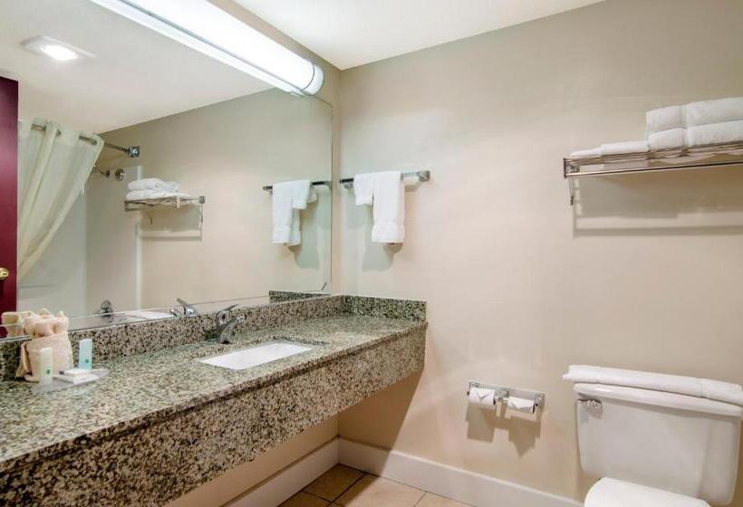 Номер Стандарт, Quality Inn & Suites