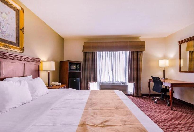 Номер Стандарт Кровать Кинг Адаптированный для Инвалидов, Quality Inn & Suites