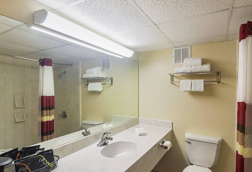 חדר דלוקס, Red Roof Inn Lubbock