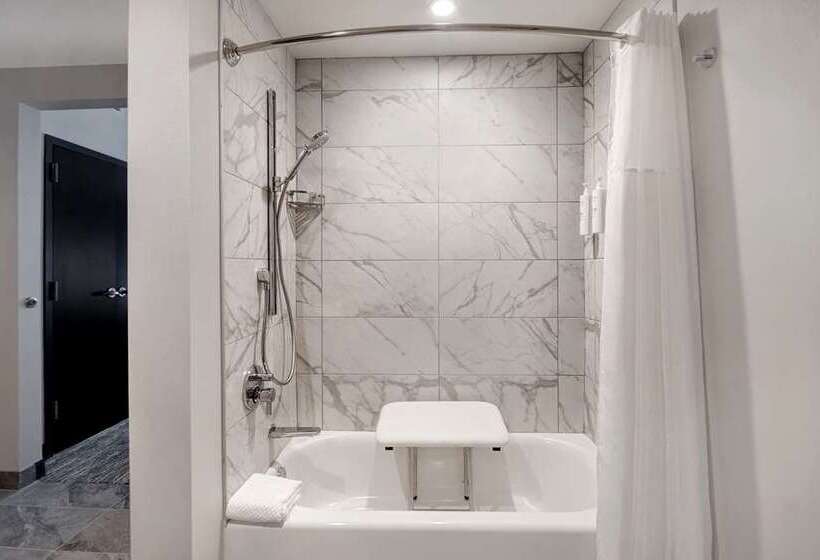 Suite Queen Bed, Embassy Suites By Hilton Rockford Riverfront
