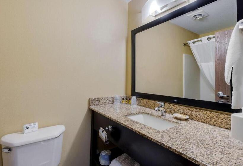 Номер Стандарт, Best Western Cascade Inn & Suites