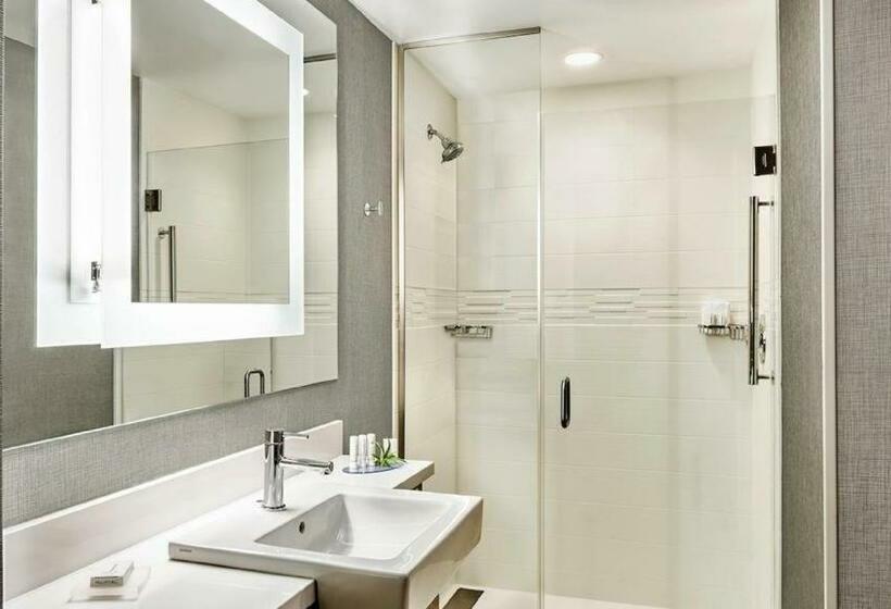 带大床的套房, Springhill Suites By Marriott Gulfport I10