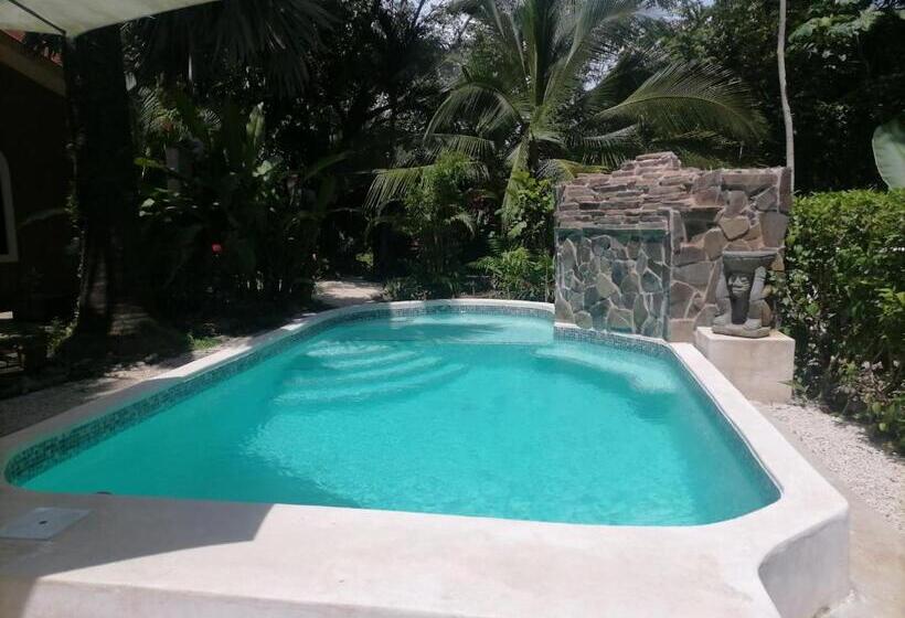 스탠다드 룸, Casa El Colibrí