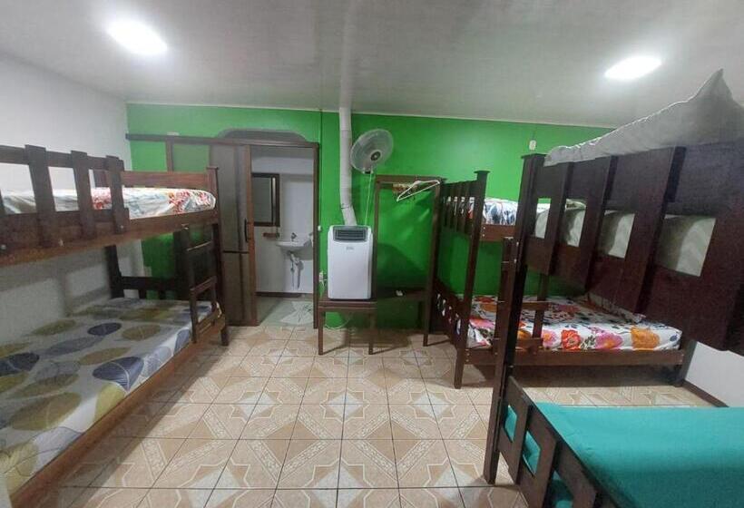 共用房间的床, Nice Place Hostel