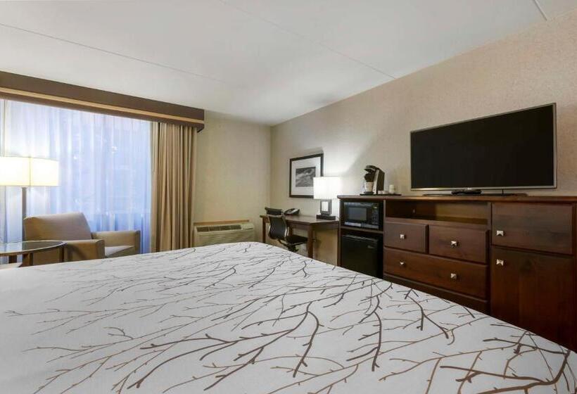 Номер Стандарт Кровать Кинг Адаптированный для Инвалидов, Best Western Plus Coeur D'alene Inn