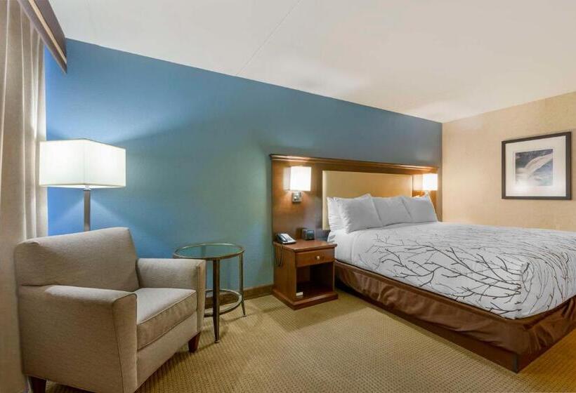 Номер Стандарт Кровать Кинг Адаптированный для Инвалидов, Best Western Plus Coeur D'alene Inn
