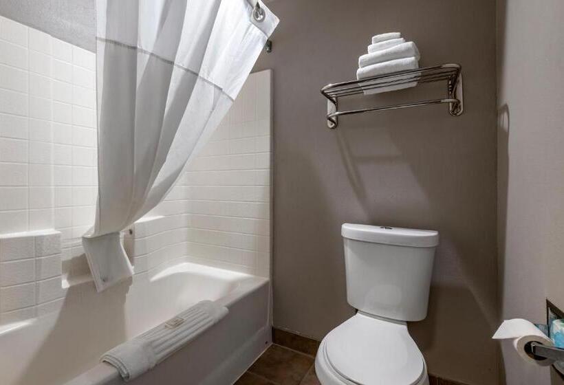 스탠다드 룸 킹사이즈 침대, Clarion Inn Kingman I40 Route 66