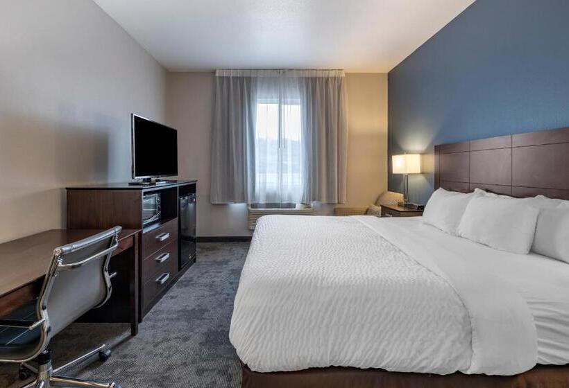 장애인을 위한 킹사이즈 침대 스탠다드 룸, Clarion Inn Kingman I40 Route 66