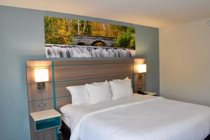 스탠다드 룸 킹사이즈 침대, Clarion Pointe Vidalia  Lyons West