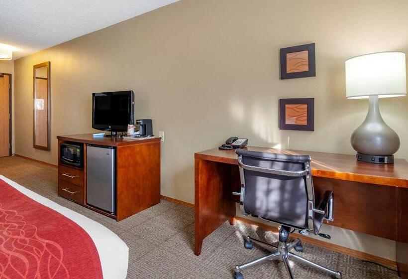 스탠다드 룸, Comfort Inn