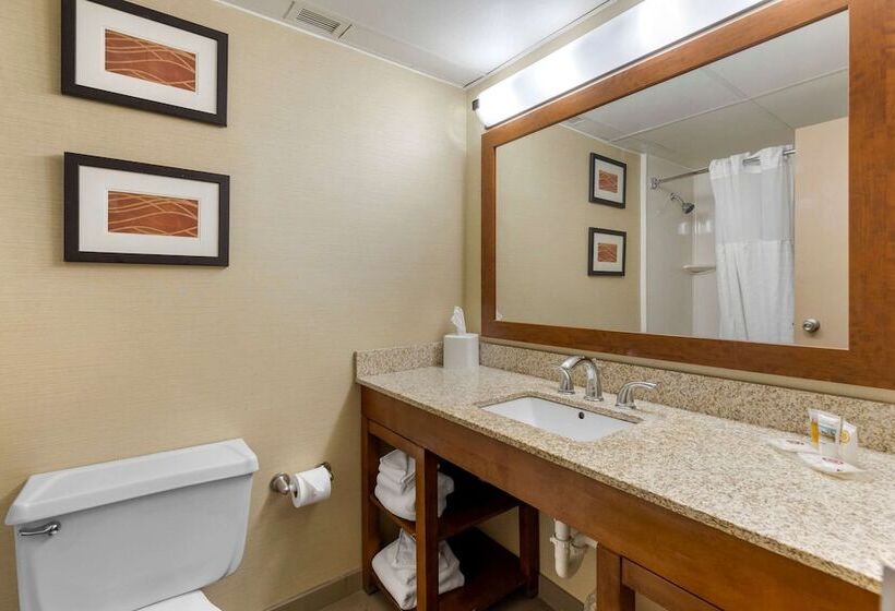 带2个双人床的标准工作室, Comfort Inn St. Louis  Westport Event Center