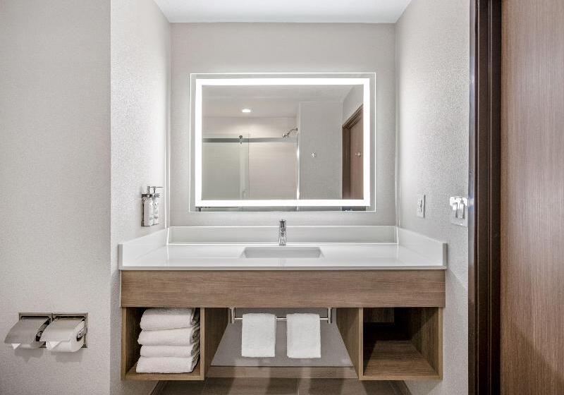 Номер Стандарт, Holiday Inn Express San Diego South   National City, An Ihg