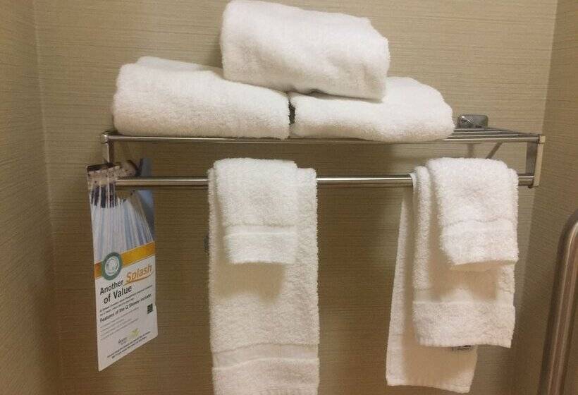 Номер Стандарт 2 Двуспальные Кровати, Quality Inn Richmond Airport