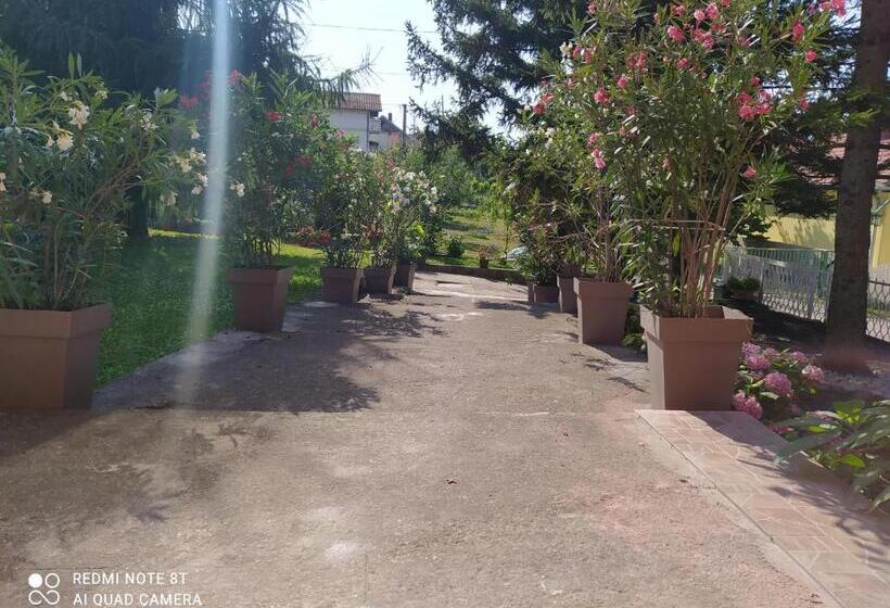 آپارتمان 1 خوابه همکف, Apartment & Rooms Aleksandar