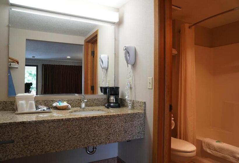 Номер Deluxe Кровать Кинг, College Inn