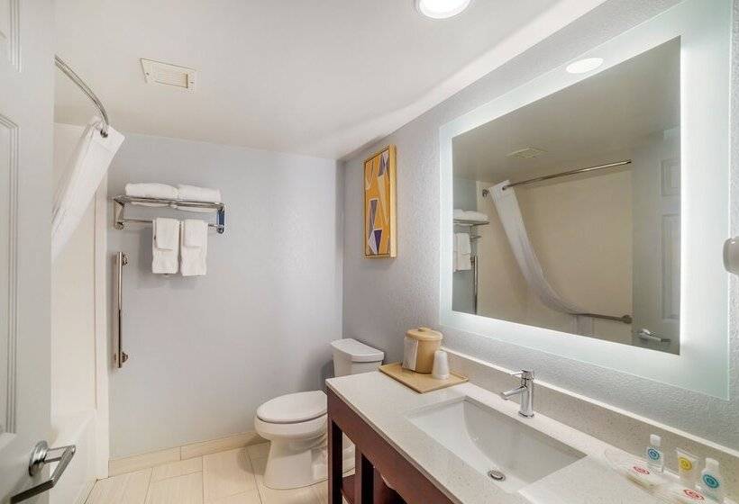 Номер Стандарт 2 Двуспальные Кровати, Comfort Inn Asheville Airport