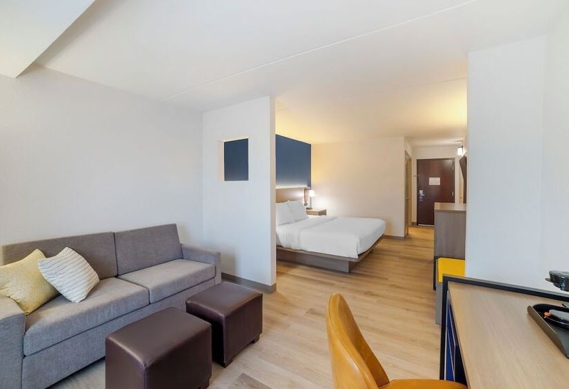 Люкс, Comfort Inn Asheville Airport