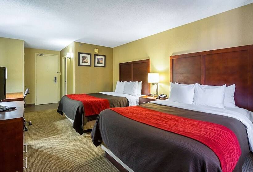 Номер Стандарт 2 Двуспальные Кровати, Comfort Inn Downtown