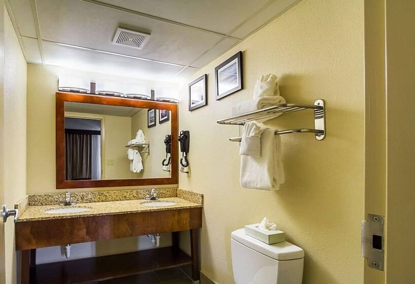 Люкс, Comfort Inn Downtown