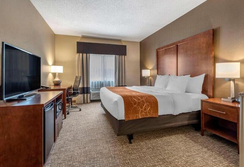Suite Łóżko King Size, Comfort Suites Terre Haute University Area