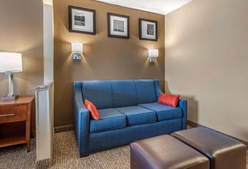 Suite Przystosowany dla Osób Niepełnosprawnych, Comfort Suites Terre Haute University Area