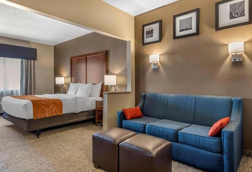 Suite Przystosowany dla Osób Niepełnosprawnych, Comfort Suites Terre Haute University Area