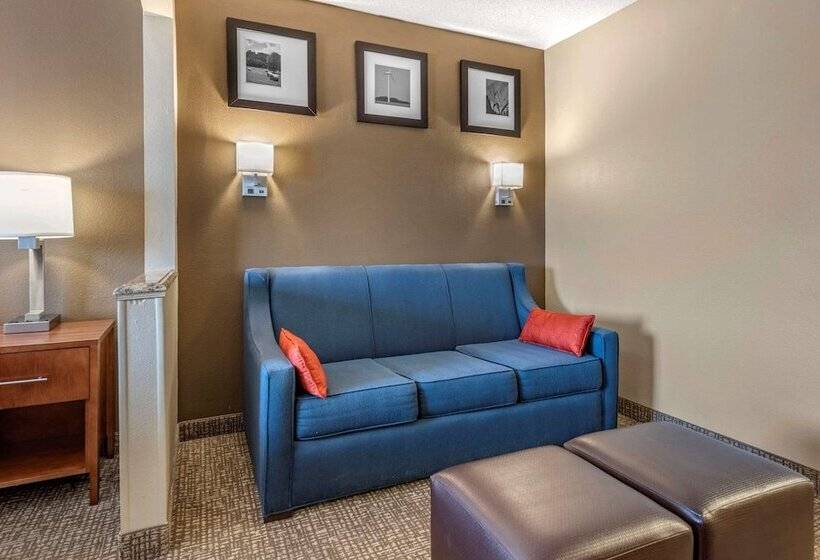 Suite Przystosowany dla Osób Niepełnosprawnych, Comfort Suites Terre Haute University Area