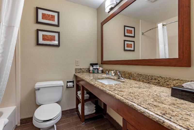 Suite Łóżko King Size, Comfort Suites Terre Haute University Area