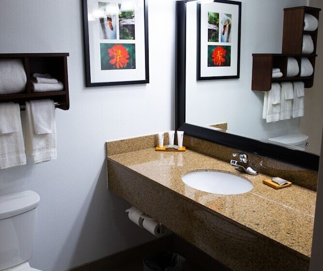 Люкс, Country Inn & Suites By Radisson, Burlington Elon , Nc