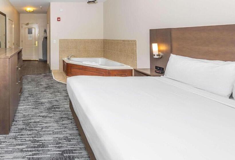 带大床的套房, Country Inn & Suites By Radisson, Smyrna, Ga
