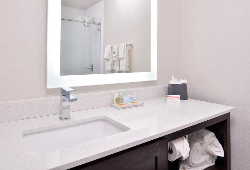 Номер Стандарт, Holiday Inn & Suites Dallas Addison By Ihg