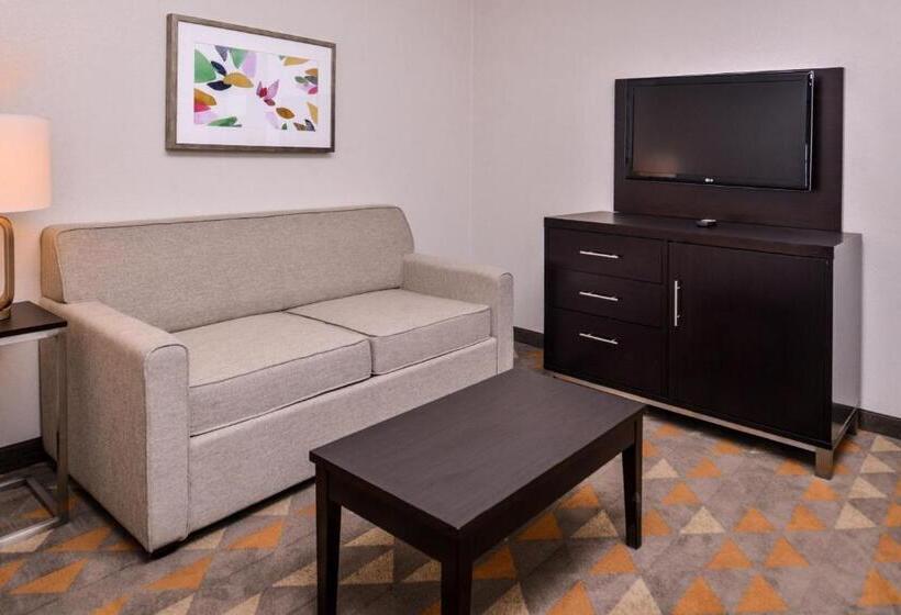 Люкс Кровать Кинг, Holiday Inn & Suites Dallas Addison By Ihg