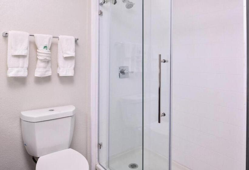 Suíte Cama King, Holiday Inn & Suites Dallas Addison By Ihg