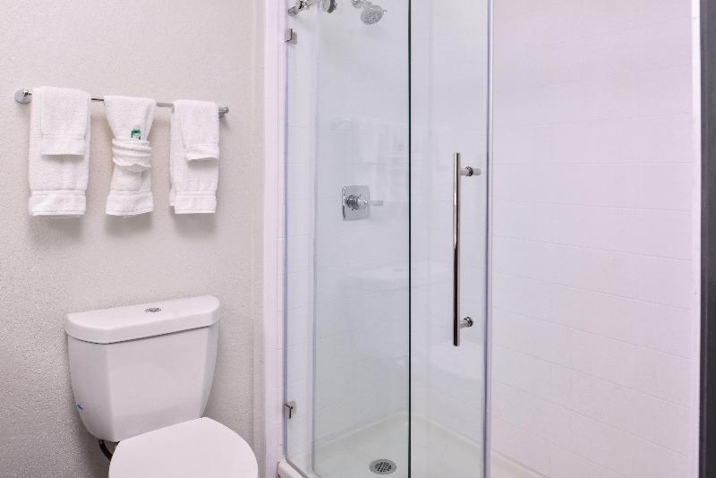 Люкс Кровать Кинг, Holiday Inn & Suites Dallas Addison By Ihg
