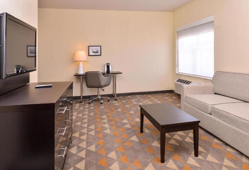 Люкс Вид на Город, Holiday Inn & Suites Dallas Addison By Ihg