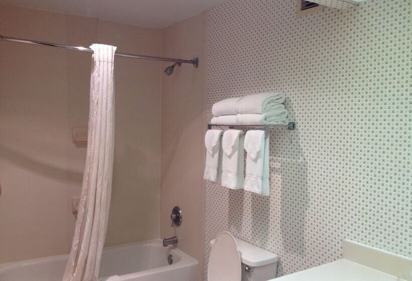 Номер Superior, Red Roof Inn & Suites Albany, Ga