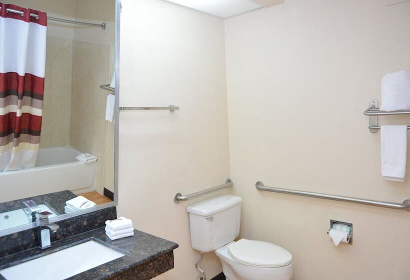 Camera Deluxe, Red Roof Inn Plus+ & Suites Chattanooga   Downtown