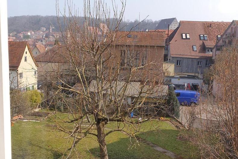 Номер Стандарт Вид на Сад, Gasthof Blauer Bock