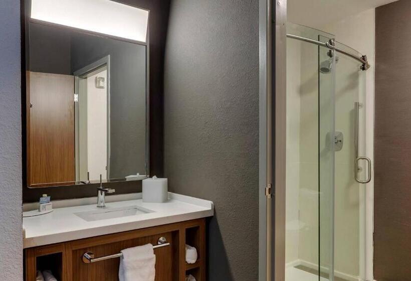 Стандартный Номер Кровать Кинг, Courtyard Lexington South/hamburg Place