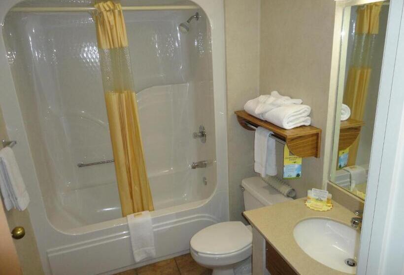 Стандартный Номер Кровать Кинг, Days Inn By Wyndham Rapid City