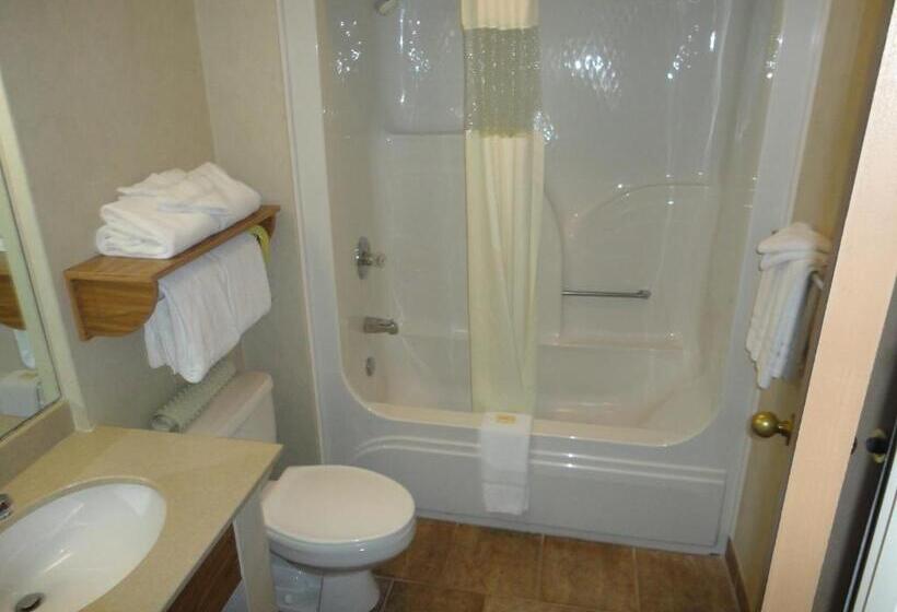 Номер Deluxe Кровать Кинг, Days Inn By Wyndham Rapid City
