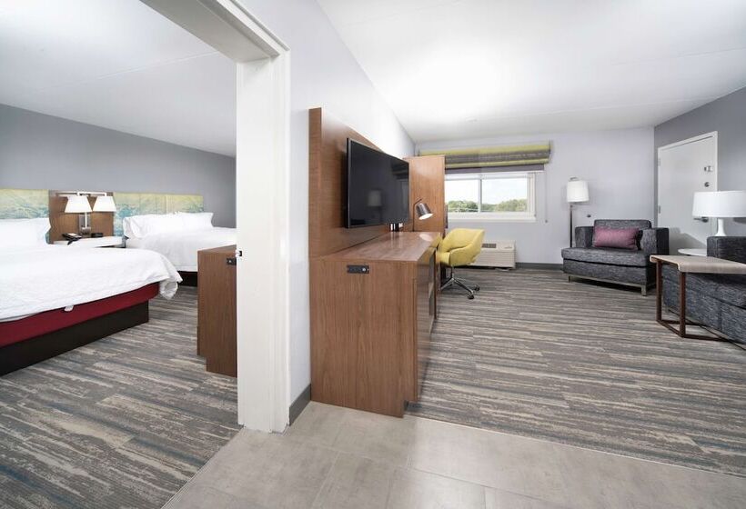 Люкс, Hampton Inn Egg Harbor Township Atlantic City