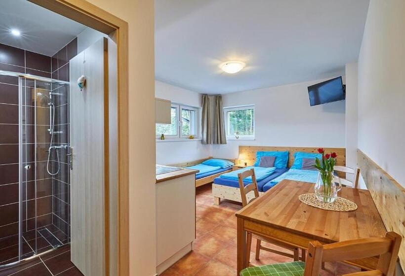اتاق استاندارد, Skipension