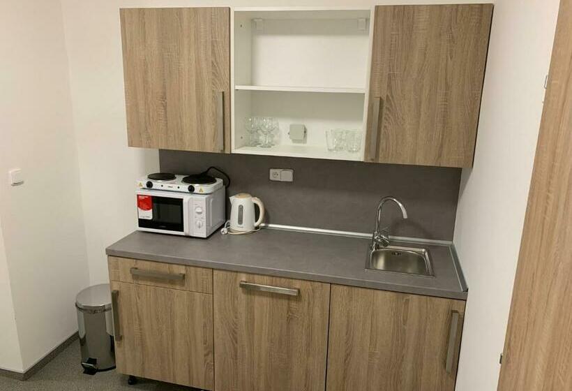 Апартаменты 1 Спальня, Mikulov Inn   Apartments Slunce
