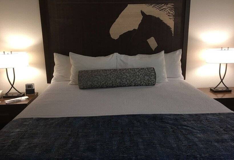 스탠다드 룸 더블 침대, Best Western Chincoteague Island