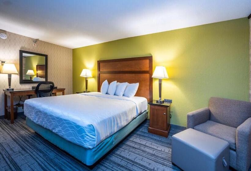 Стандартный Номер Кровать Кинг, Best Western Plus Houston Energy Corridor